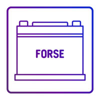 Forse